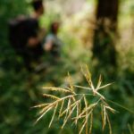 Landscape Ideas for Canoe Storage Practical and creative landscape ideas for canoe storage in your backyard