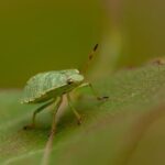 Landscape Ideas Around a Deck Beautiful and functional landscape ideas around a deck – maximize outdoor space with these design tips