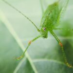 Ideas for Small Backyard Landscaping Creative and functional designs for small backyard landscaping - IDEAS FOR SMALL BACKYARD LANDSCAPING