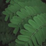 Garden Landscaping Ideas Charming Garden Landscaping Ideas: Create stunning outdoor spaces with our expert tips and design inspiration