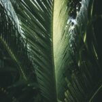 Cheap Easy Landscape Ideas Budget-friendly garden designs: cheap easy landscape ideas