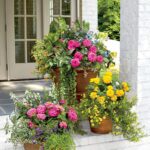 Garden Design Layout Plan showcasing a beautiful and functional arrangement of plants, pathways, and features