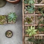 L Shaped Landscaping Ideas L Shaped Landscaping Ideas: Creative corner plantings and pathways for small yards