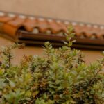 Beautiful Oregon landscaping ideas showcasing native plants and sustainable designs for outdoor spaces