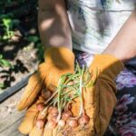 Corner Landscaping Ideas Backyard: Small Garden Design for Outdoor Spaces