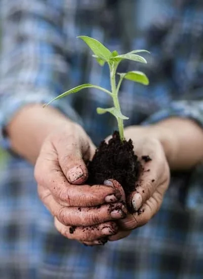 How to Design a Garden Layout Zone 6: Tips for Cold-Climate Landscaping