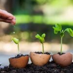 Landscaping Door Hanger Ideas Eye-catching landscaping door hanger ideas to boost your curb appeal