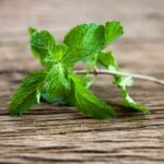 Landscaping Ideas for Driveway Beautiful driveway landscaping ideas: Enhance your curb appeal with these creative and practical design concepts