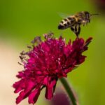 Landscaping Ideas With Pots Landscaping ideas with pots: creative container gardening options for your outdoor space