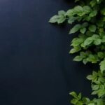 Stucco Home Landscape Ideas Stucco Home with Modern Landscape Design