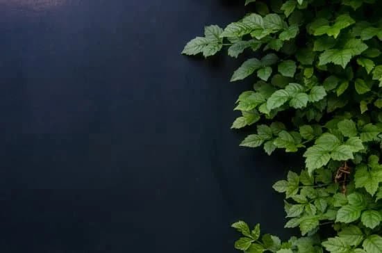 Simplified Steps to Create a Beautiful UK Garden Layout: How to Design