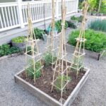 Landscaping Ideas Around Pool Beautiful Landscaping Ideas Around Your Pool - Creating a Relaxing Oasis