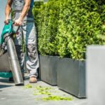 Inspiring Florida Front Yard Landscaping Ideas: Tropical, Low-Maintenance, and Drought-Resistant Designs