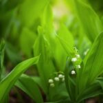 Explore edible landscape design ideas incorporating fruits, vegetables, and herbs for a unique garden experience