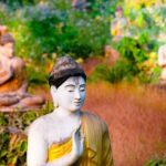 Easy Cheap Landscaping Ideas Transform your yard with Easy Cheap Landscaping Ideas: do-it-yourself, budget-friendly options for a beautiful outdoor space