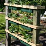 Beautiful and Sustainable Drought Tolerant Landscaping Ideas: Creating a Water-Wise Outdoor Oasis