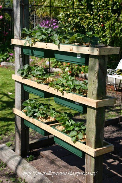 Beautiful and Sustainable Drought Tolerant Landscaping Ideas: Creating a Water-Wise Outdoor Oasis