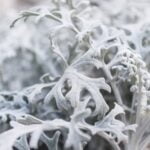 Beautiful Front Yard Landscaping Ideas from HGTV