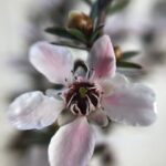 Front of House Landscape Ideas Front of house landscape with colorful flowers and shrubs for curb appeal