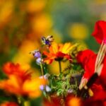 Ideas for Diy Landscaping Creative ideas for DIY landscaping: A variety of creative and practical ideas for DIY landscaping projects