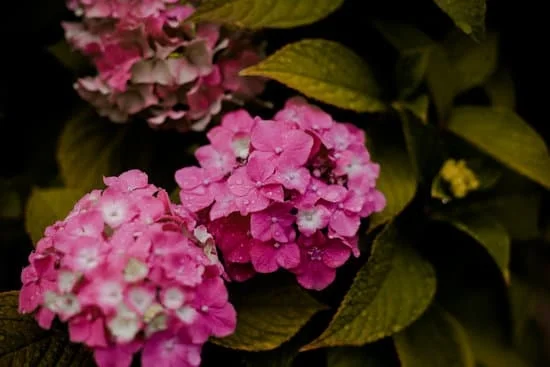 Creative landscaping ideas along fence: fragrant flowers, ornamental grass, and colorful vines for added curb appeal