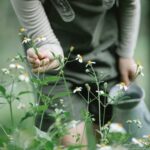 Landscaping Business Card Ideas Professional landscaping business card designs to inspire creativity and professionalism