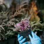 Exterior Landscaping Ideas EXTERIOR LANDSCAPING IDEAS: Stunning garden designs, outdoor decor inspiration, and creative backyard makeover concepts