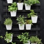 Ideas for Landscaping Front Yard Front yard landscaping ideas to enhance your outdoor space and curb appeal