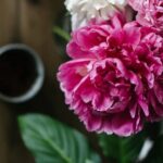 Fire Pit Landscaping Ideas Cozy backyard fire pit landscaping ideas for your outdoor space