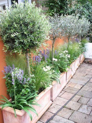 Designing a Pansy Layout in Garden 1 Beautifully designed pansy garden layout showcasing vibrant colors and intricate patterns