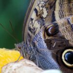 Small Perennial Garden Layouts & Design Charming small perennial garden with thoughtful layouts and design