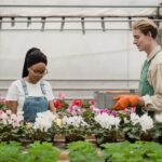 Serene nature landscape drawing ideas with peaceful scenery and stunning natural beauty