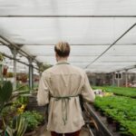 Garden Landscape Ideas Transform Your Outdoor Space with Stunning Garden Landscape Ideas: A Guide to Creating Your Perfect Garden