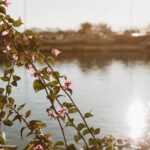 Landscaping ideas without plants: hardscaping, rock gardens, water features, and outdoor structures