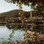 Sustainable and stylish low maintenance backyard landscaping ideas to transform your outdoor space