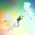 Creative Landscaping Ideas with Cinder Blocks: Transforming Outdoor Spaces with Versatile Materials