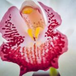 Backyard paradise: Minecraft-inspired landscape ideas