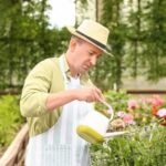 Stunning Landscaping Ideas for Backyard MN: A Guide to Transforming Your Outdoor Space