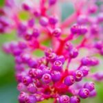 Mid Centurky Modern Landscaping Ideas Mid-century modern landscaping ideas: sleek lines, natural elements, minimalist design, timeless charm