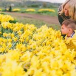 Home Pool Landscaping Ideas Stunning Home Pool Landscaping Ideas: Transform Your Backyard Oasis