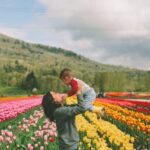 No Plant Landscaping Ideas: Rock gardens, gravel paths, and minimalist hardscaping create low-maintenance outdoor spaces