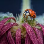 Landscaping Ideas for Front Front Yard Landscaping Designs: Creative Ideas and Tips to Beautify Your Outdoor Space