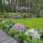 Bulb Garden Layout Design Bulb Garden Layout Design: Colorful Spring flower bulbs gracefully arranged in a well-organized garden bed