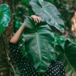 Gravel Landscaping Ideas Stylish gravel landscaping ideas: Pathways, patios, and gardens for a modern outdoor space