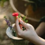 Design a beautiful and functional flower garden layout with ease, incorporating various colors and textures