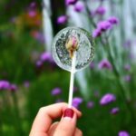 Backyard Landscaping ideas for dogs: Pet-friendly plants, secure fencing, and designated play areas