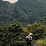 Landscaping Ideas Front Yard Driveway Front yard driveway landscaping ideas: incorporating hardscaping, greenery, and lighting for an inviting entrance