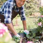 Landscaping Ideas for Dry Areas Xeriscape garden designs: Landscaping ideas for dry areas