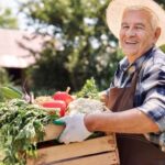 Landscaping Ideas for Seniors Accessible and low-maintenance landscaping ideas for seniors, including raised flower beds and easy-to-navigate pathways
