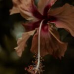 Railroad Ties Ideas Diy Landscape Creative railroad tie landscaping ideas for DIY projects